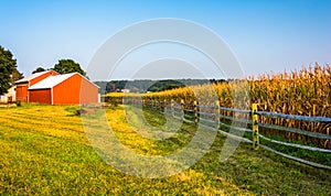 Barn and corn field on a farm in rural York County, Pennsylvania