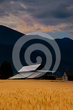 Barn in countryside