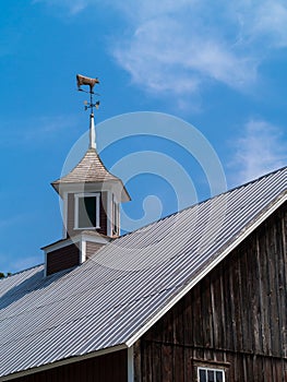 Barn Cupola with Cow Weathervane photo