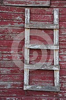 Barn door ladder