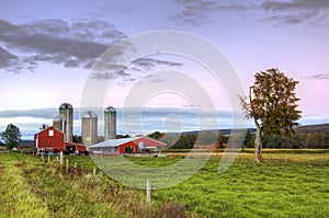 Barn at dusk with cows and grass in foreground