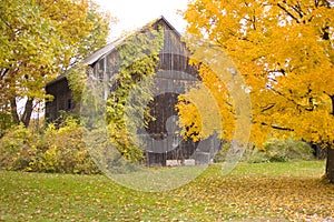 BArn in Fall