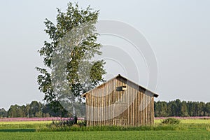 Barn in Farmfield by Tree photo