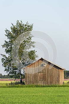 Barn in Farmfield by Tree photo