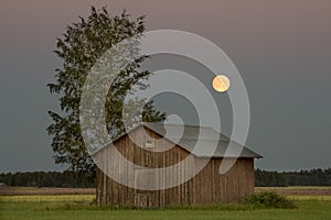 Barn in Farmfield by Tree with a Full Moon