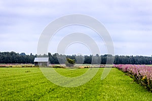 Barn in Farmfield photo