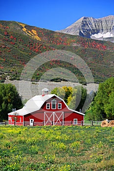 Barn and Fields in Early Autumn