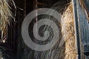 Barn filled with hay