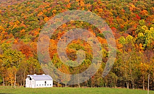 Barn at the foot hill