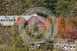 The barn at Great Brook Farm in Carlisle MA during Autumn