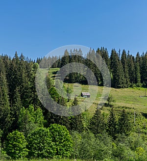 A barn on a hill by the forest