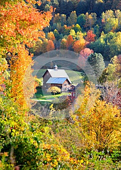 Barn in the middle of autumn trees