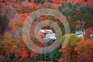 Barn in mountains surrounded by bright fall foliage