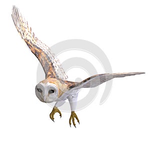 Barn Owl Bird. 3D rendering with clipping path