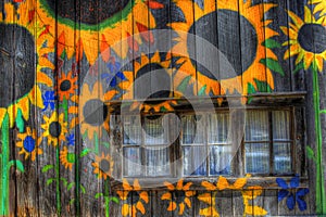 Barn Painted With Sunflowers