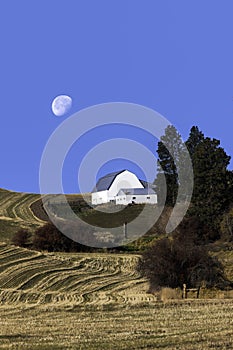 Barn on the Palouse.