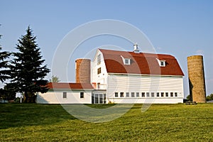 Barn With Red Gambrel Roof and Silos