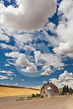 A barn with a silo in the Palouse region of Pullman, WA photo