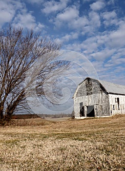 Barn and Single Tree Along with Cloud Studded Sky and Dormant Grass Makes This a Compelling Winter Scene