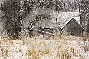 Barn South Hero, VT