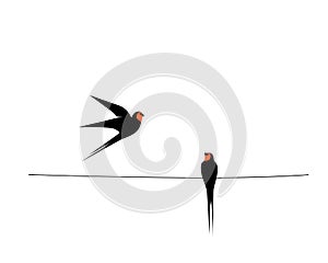 Barn swallow silhouette on wire, vector. Two birds silhouettes on wire isolated on white background. Minimalist art design