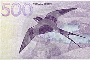 Barn swallow from Estonian money