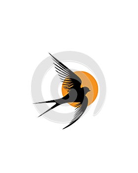 Barn swallow silhouette on sunset, vector