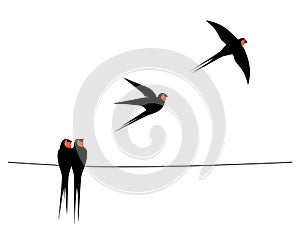 Barn swallow silhouette on wire, vector