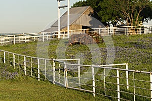 Barn, Tractor and Bluebonnets