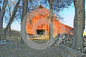 Barn through the trees