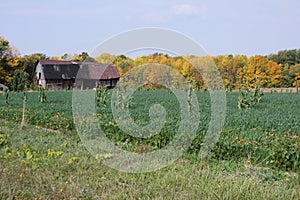 Barn Upstate New York