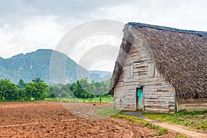 Barn used for curing tobacco in Cuba