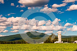 Barn and view of the Blue Ridge Mountains in the Shenandoah Valley, Virginia.