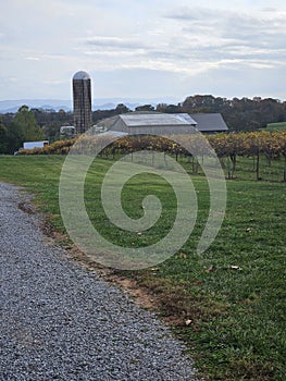 The barn at the vineyard