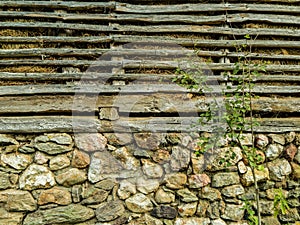 Barn Wall Half Made Of Mud And Stones And Half Wooden and plant in front of it