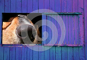 Barn Window View