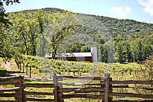 Barn at the Winery / Mountains