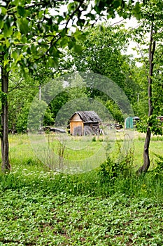 Barn wood in Ukrainian countryside. Rural scene in summer.