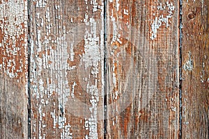 Barn Wooden Wall Paneling Wide Texture. Old Solid Wood Slats Rustic Shabby Horizontal Background.