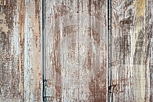 Barn Wooden Wall Paneling Wide Texture. Old Solid Wood Slats Rustic Shabby Horizontal Background.