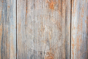 Barn Wooden Wall Paneling Wide Texture. Old Solid Wood Slats Rustic Shabby Horizontal Background.