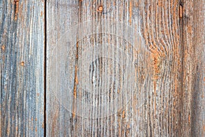 Barn Wooden Wall Paneling Wide Texture. Old Solid Wood Slats Rustic Shabby Horizontal Background.