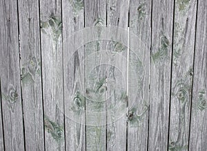 Barn Wooden Wall Planking Wide Texture. Old Solid Wood Slats Rustic Shabby Horizontal Background. Paint Peeled Grungy Weathered Is