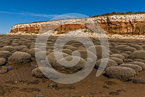 Barnacle encrusted rocks resembling a basket of eggs in front of the white, red and orange stratified cliffs at Norfolk, UK