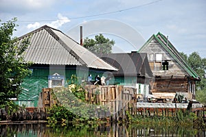 Flood. The river Ob, which emerged from the shores, flooded the outskirts of the city. Livestock escapes on the hill.