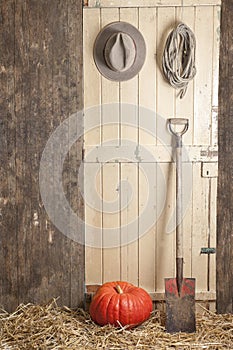 Barndoor with hat, rope and pumpkin photo