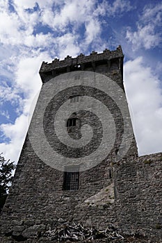 Barney Castle where you kiss the Blarney stone for the gift of eloquence. Vertical shot