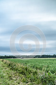 Barns in Farmfield
