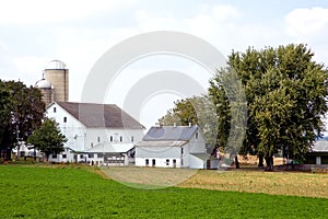 Barns and silos on farm