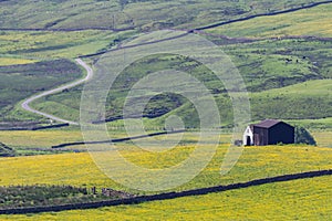 Barns in Upper Teesdale, County Durham